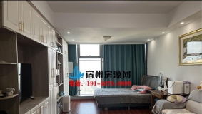 万达CBD公寓 58平方 精装 1400元每月 一室一厅