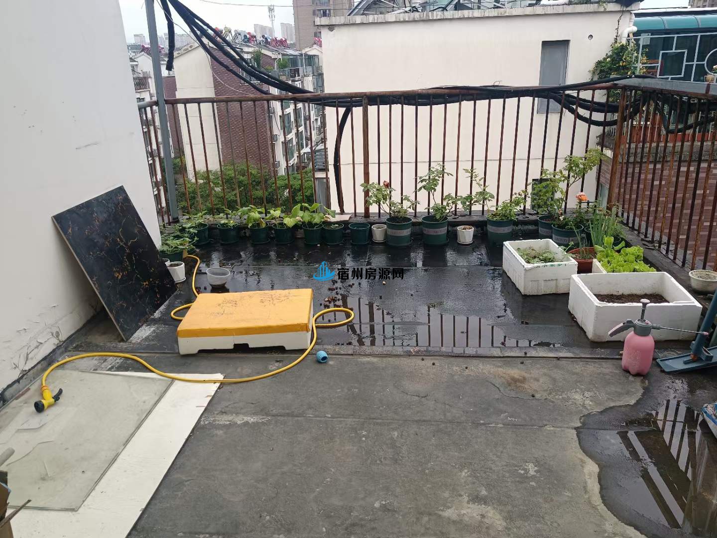 微信图片_20230606104352.jpg