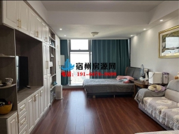 万达CBD公寓 58平方 精装 1400元每月 一室一厅